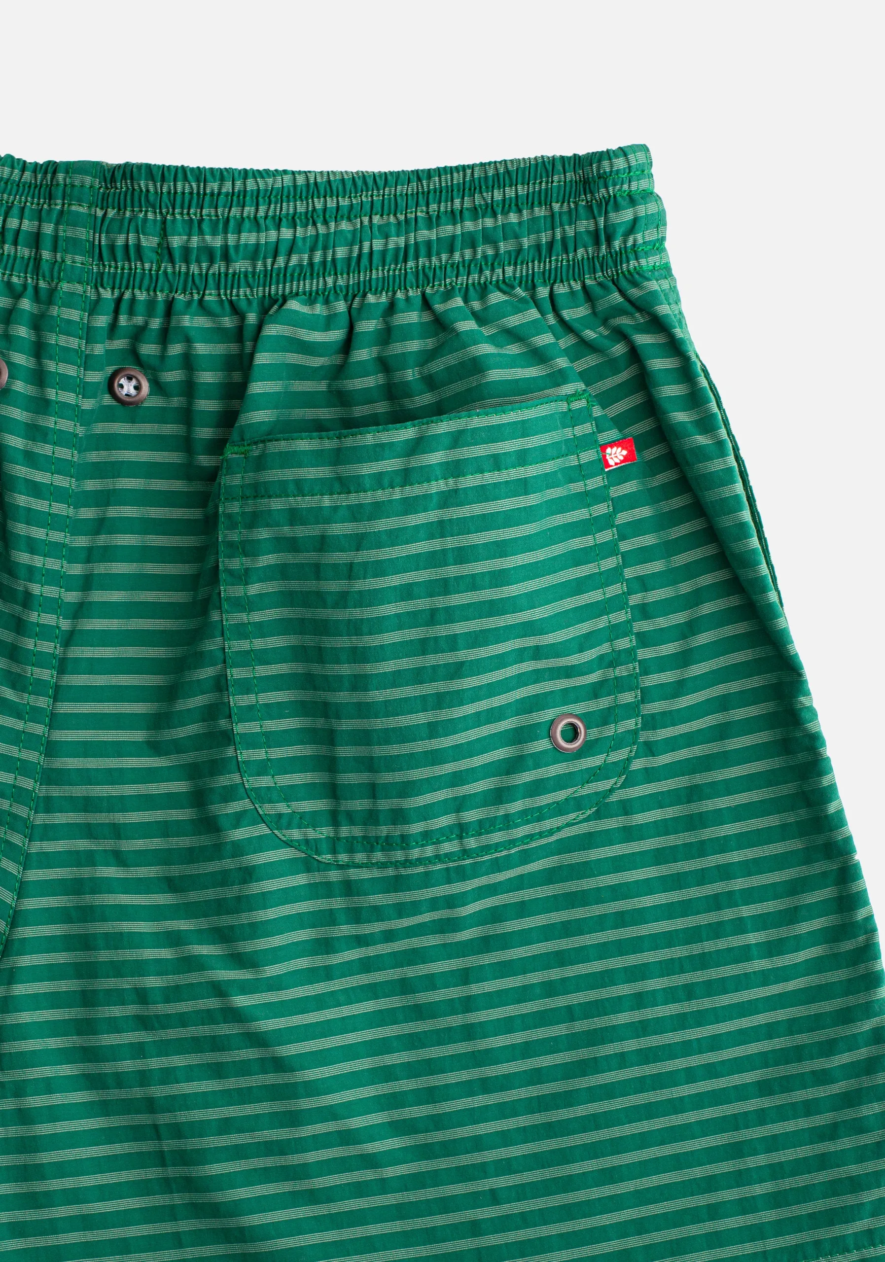 Vallarta Green Swim Trunks